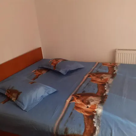 Πανσιόν Casa Denisa Vidraru Transfgarasan Căpăţîneni-Ungureni