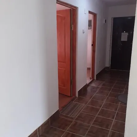 Casa Denisa Vidraru Transfgarasan Πανσιόν Căpăţîneni-Ungureni