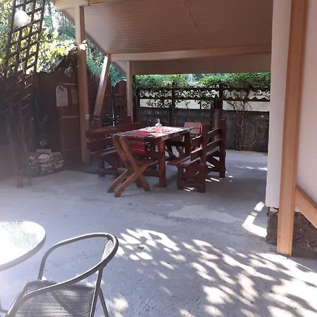Πανσιόν Casa Denisa Vidraru Transfgarasan