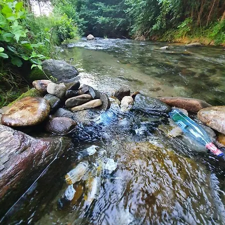 Casa Denisa Vidraru Transfgarasan * Căpăţîneni-Ungureni
